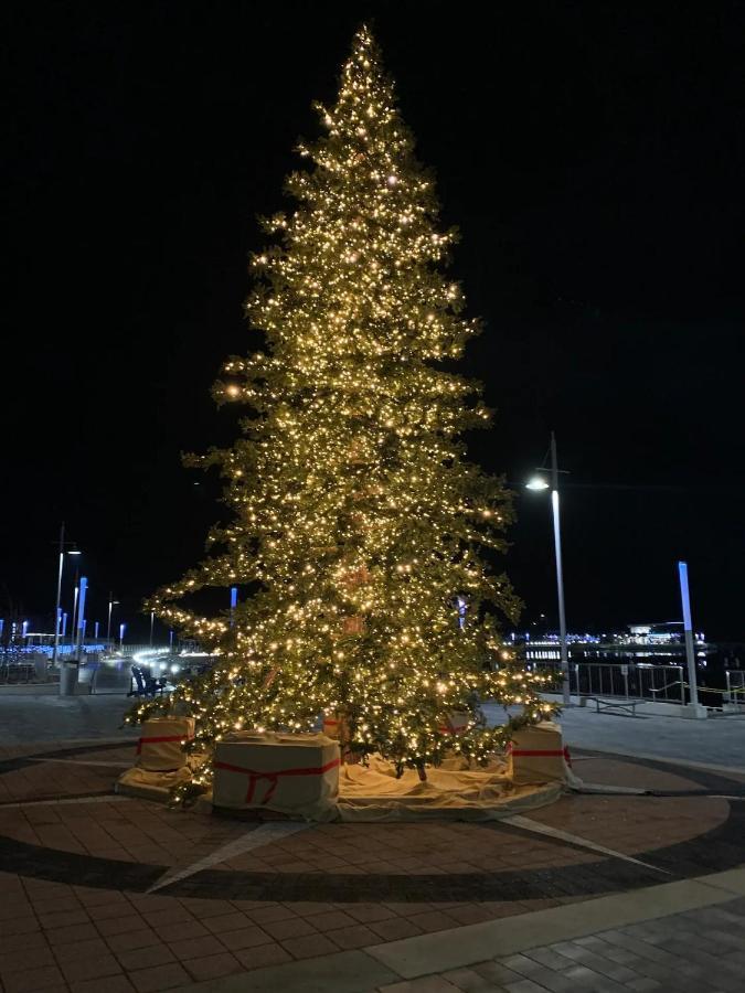 Pet Friendly Condos At Friday Harbour Innisfil Kültér fotó