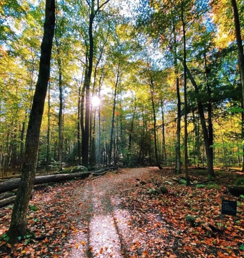 Pet Friendly Condos At Friday Harbour Innisfil Kültér fotó